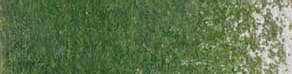 Moss Green