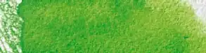 Bright Green
