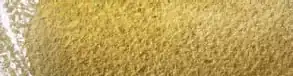 Brown Olive 50%