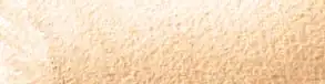 Butternut