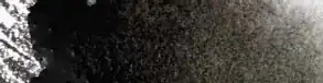 Ivory Black