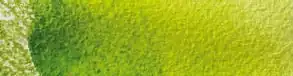 Light Olive