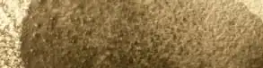 Olive Brown