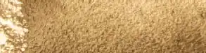Umber