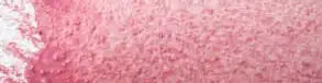 Violet Pink
