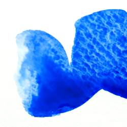 Aquarela